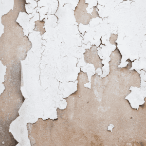 Dealing with Peeling Paint