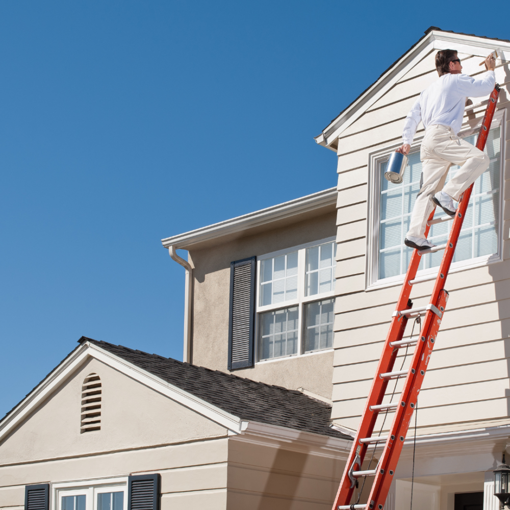 The Importance of Regular House Painting for Property Maintenance