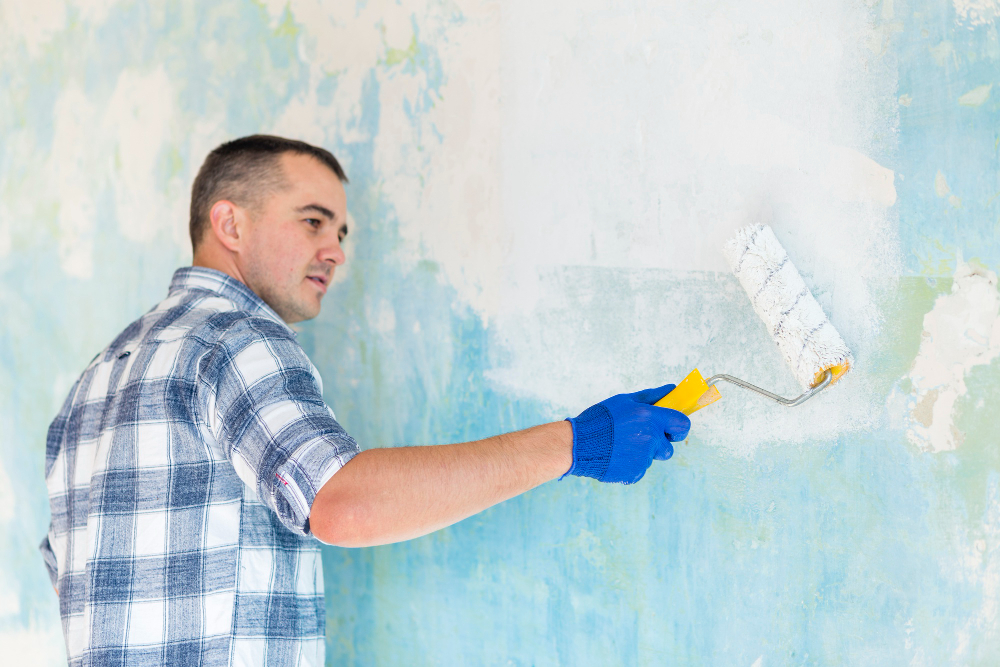 Painter in Orange park